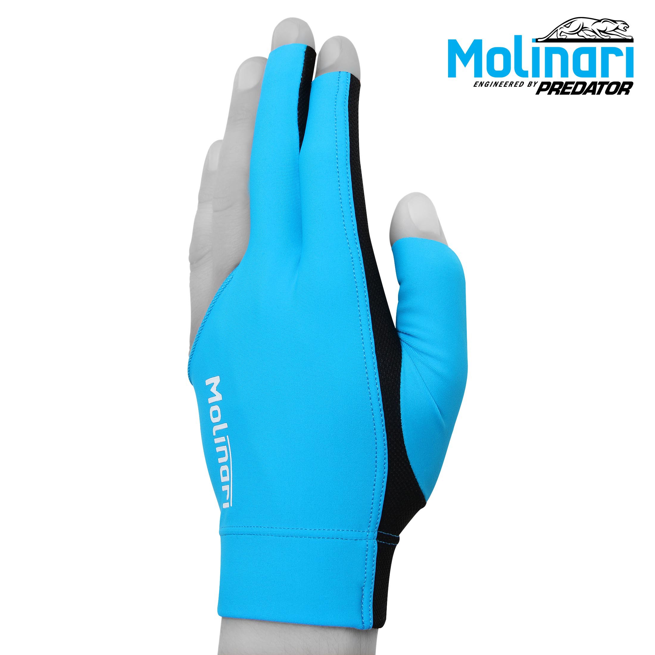 PERCHATKA_MOLINARI_GOLUBAYA