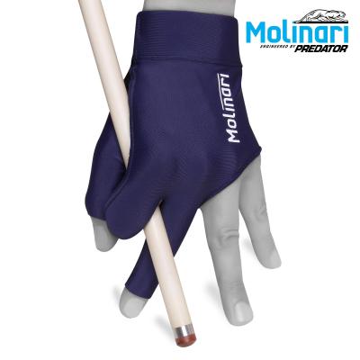 PERCHATKA_MOLINARI_TEMNO_SINAYA